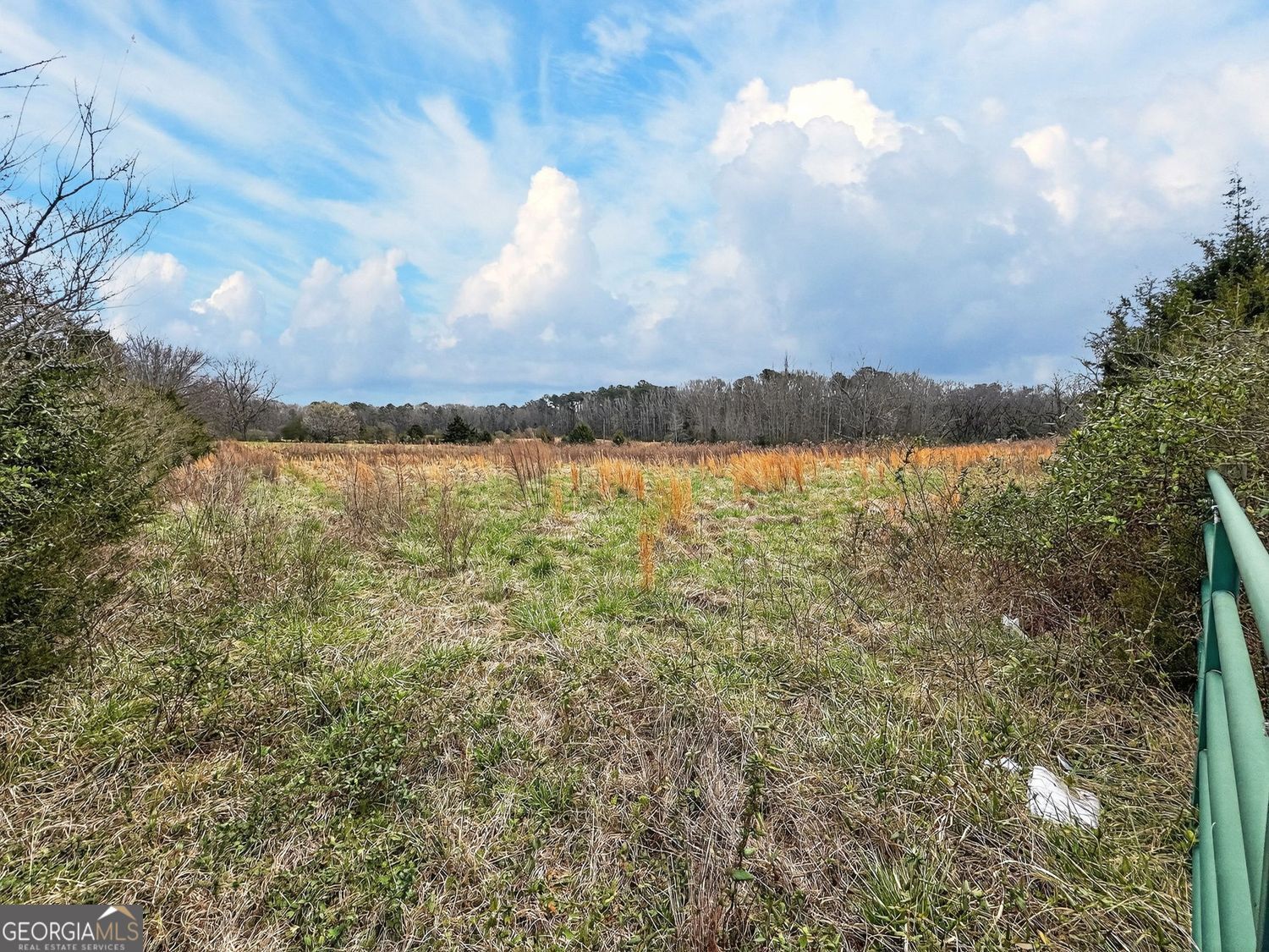 60.97+/- Acres Us Hwy 19 S Meansville GA 30256