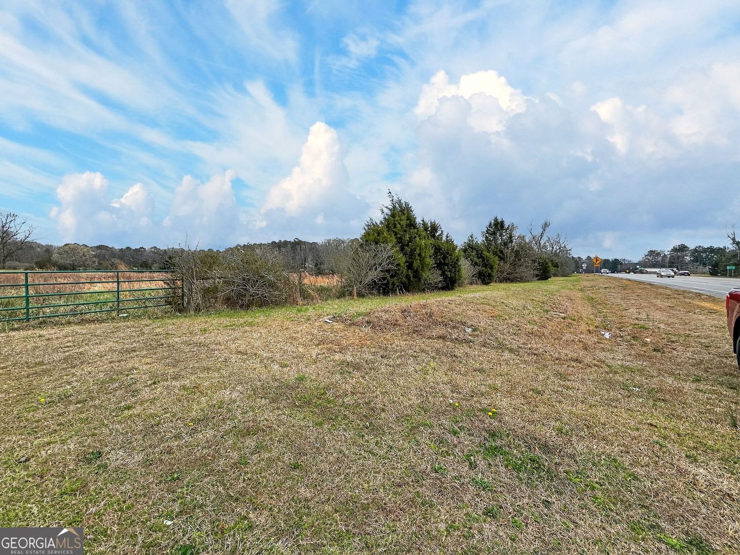 60.97+/- Acres Us Hwy 19 S Meansville GA 30256