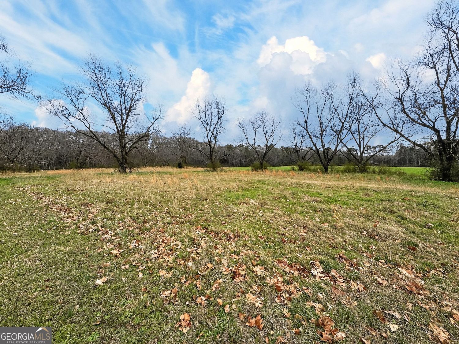 60.97+/- Acres Us Hwy 19 S Meansville GA 30256