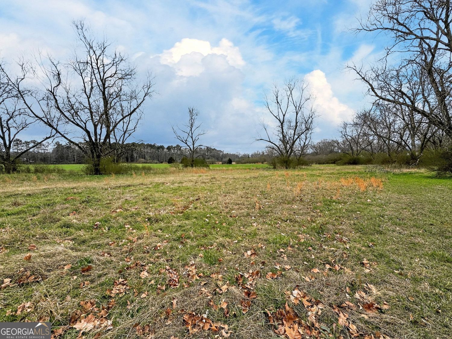 60.97+/- Acres Us Hwy 19 S Meansville GA 30256