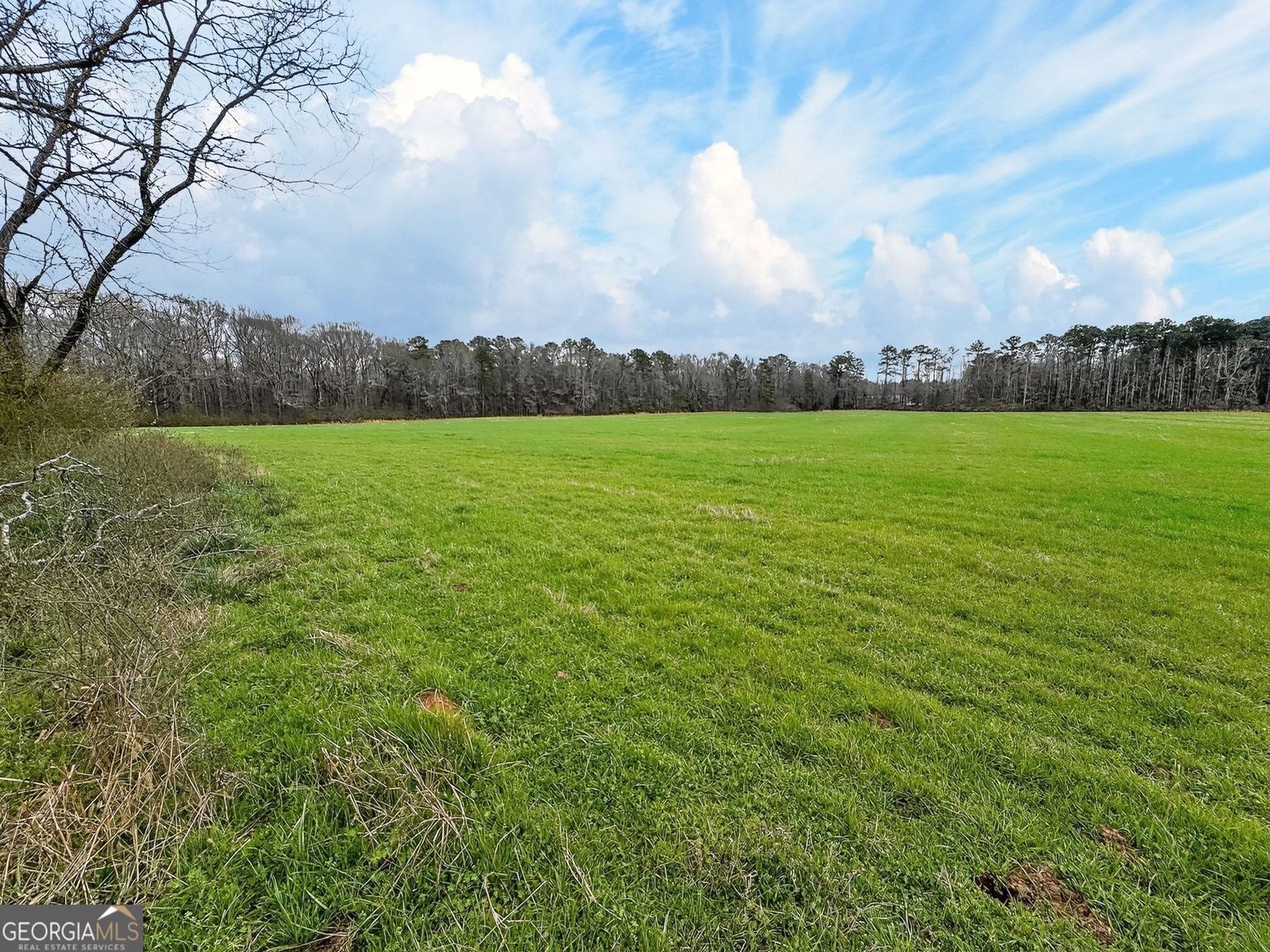 60.97+/- Acres Us Hwy 19 S Meansville GA 30256