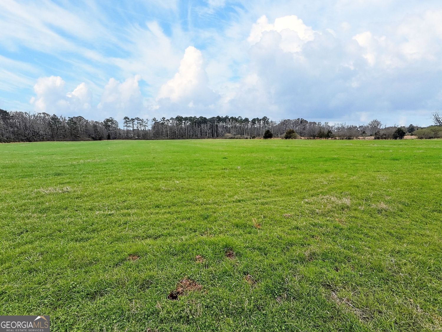 60.97+/- Acres Us Hwy 19 S Meansville GA 30256
