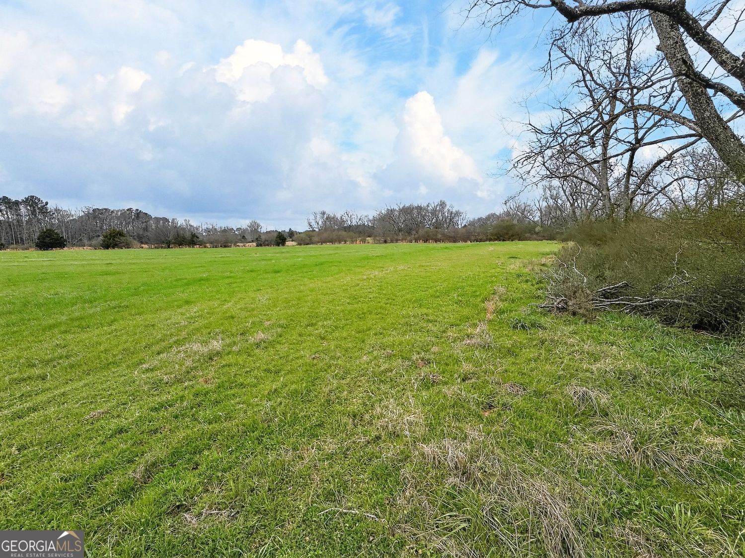 60.97+/- Acres Us Hwy 19 S Meansville GA 30256