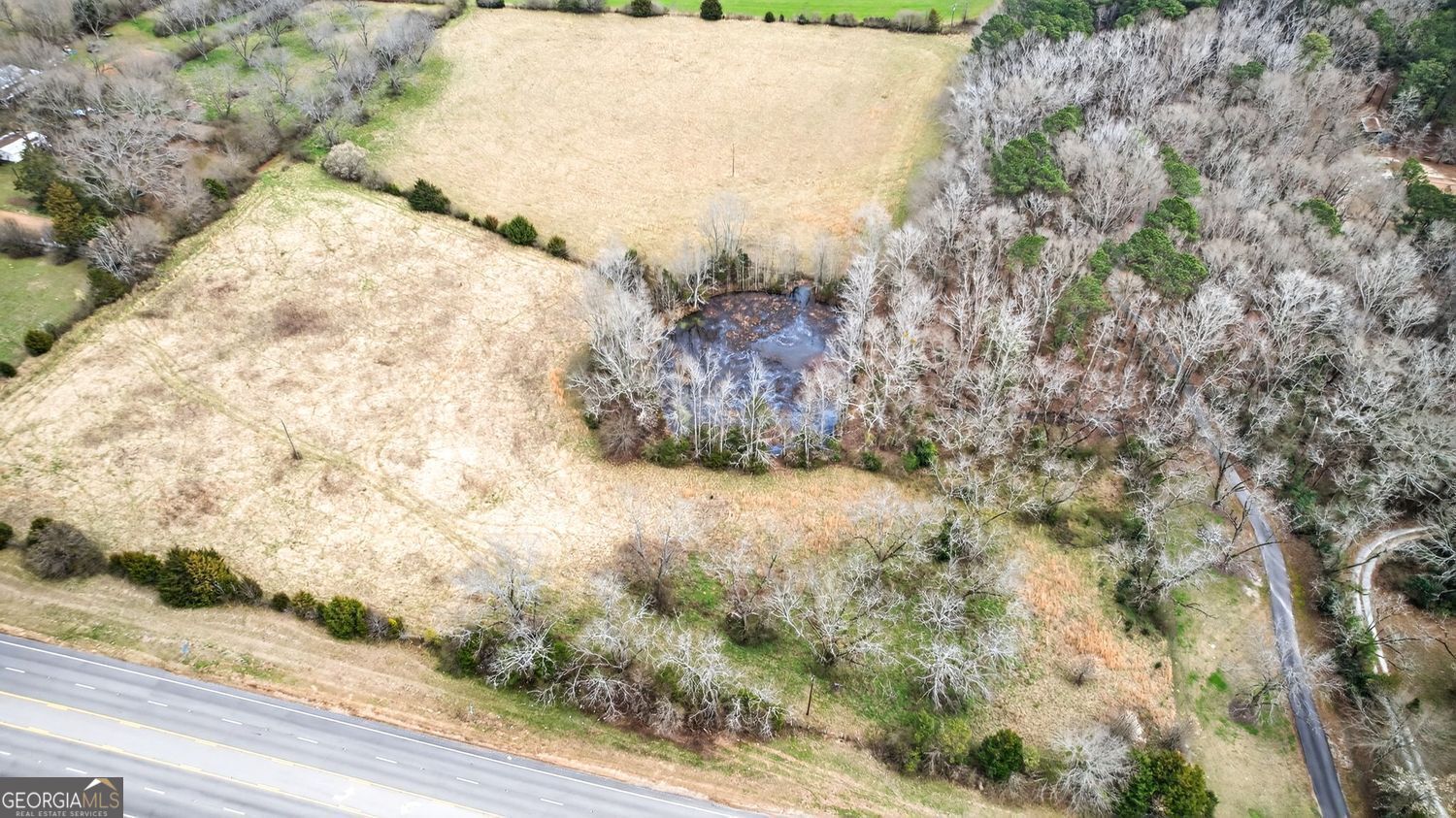 60.97+/- Acres Us Hwy 19 S Meansville GA 30256