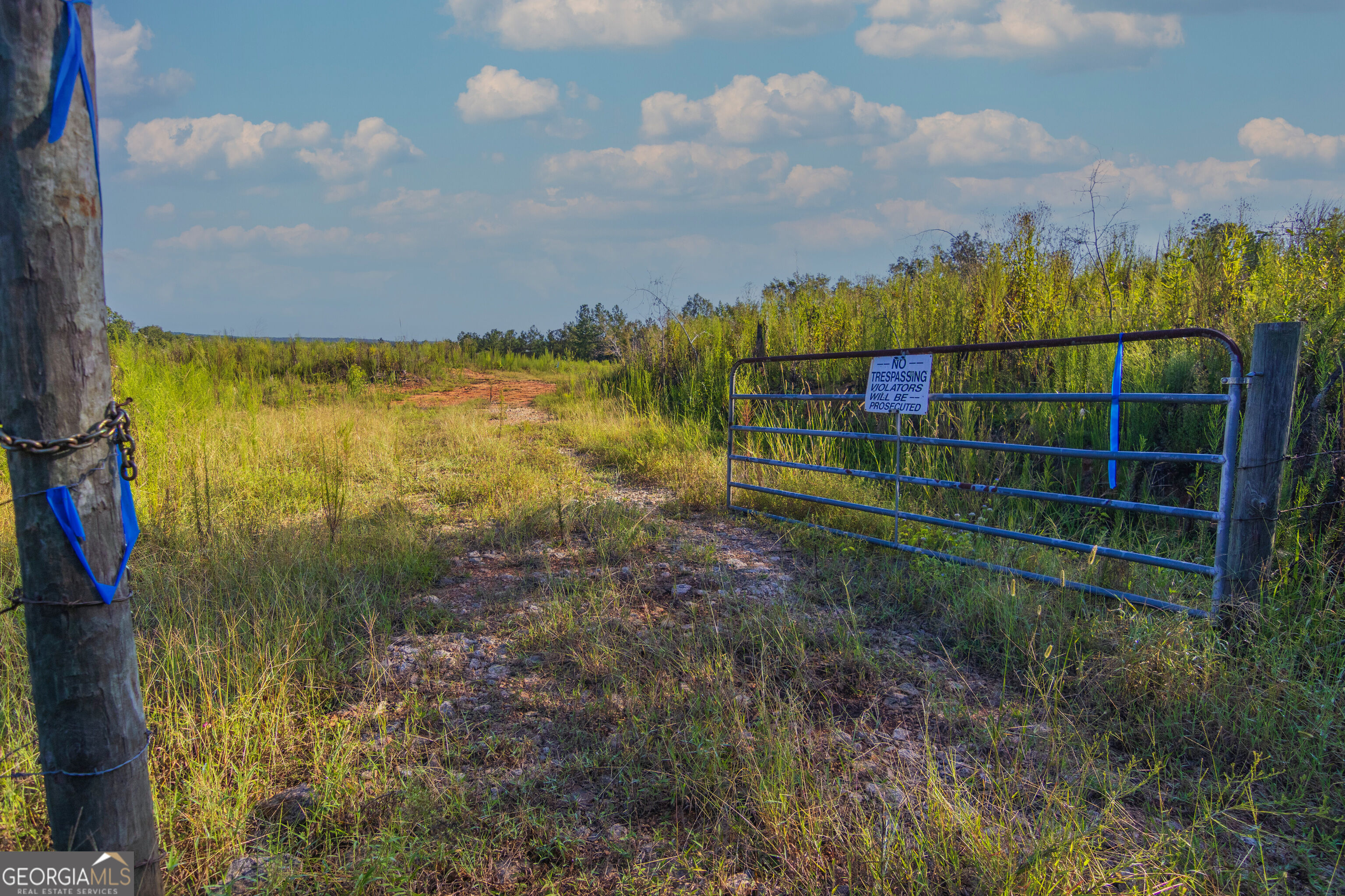 Tract 1 Highway 0036 Woodland GA 31836