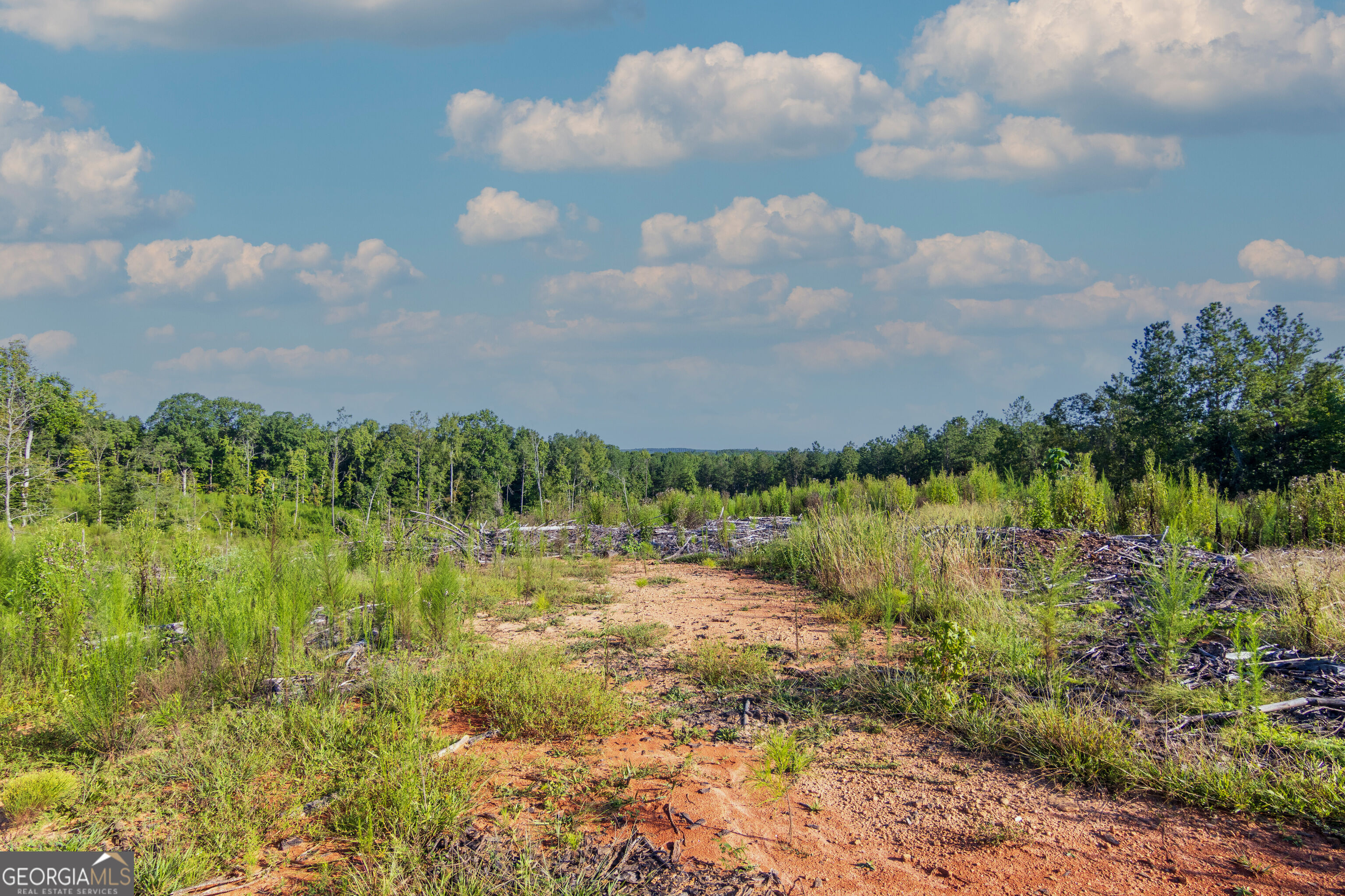 Tract 1 Highway 0036 Woodland GA 31836