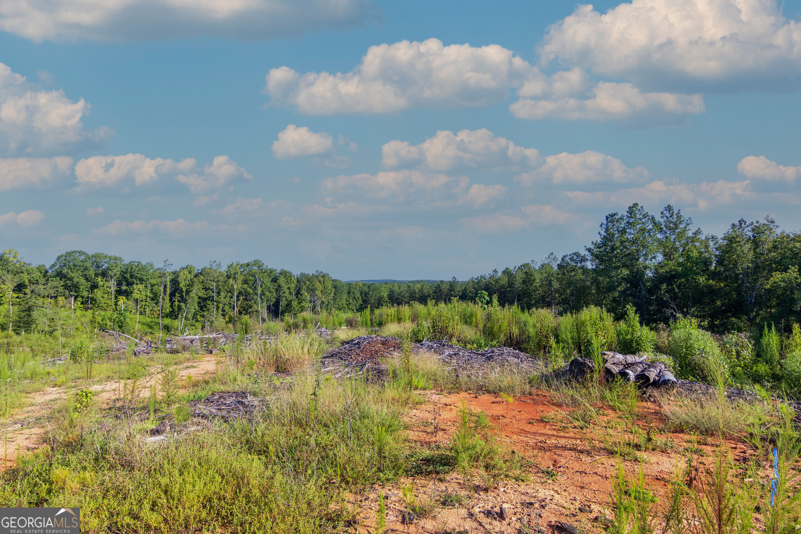 Tract 1 Highway 0036 Woodland GA 31836