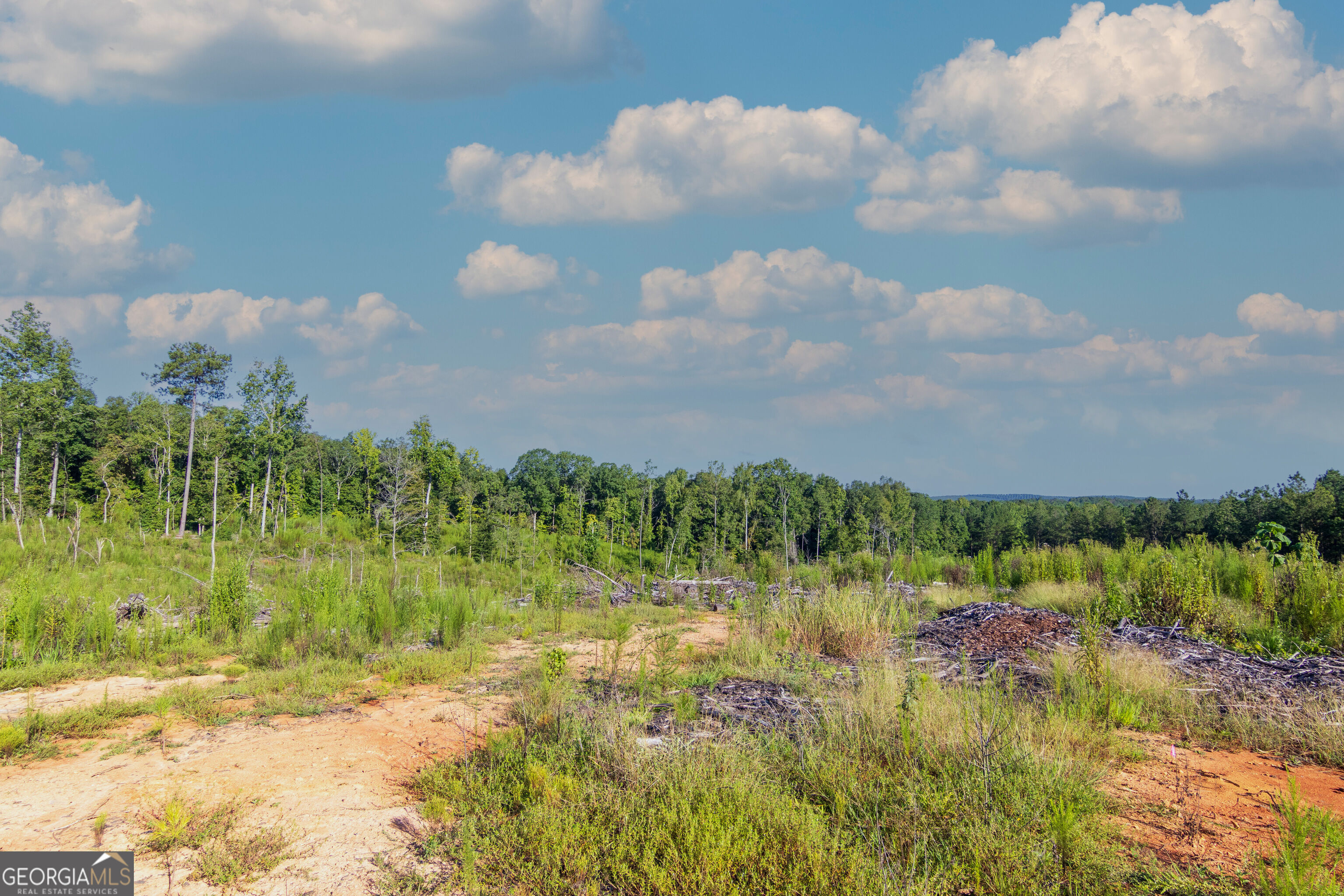 Tract 1 Highway 0036 Woodland GA 31836