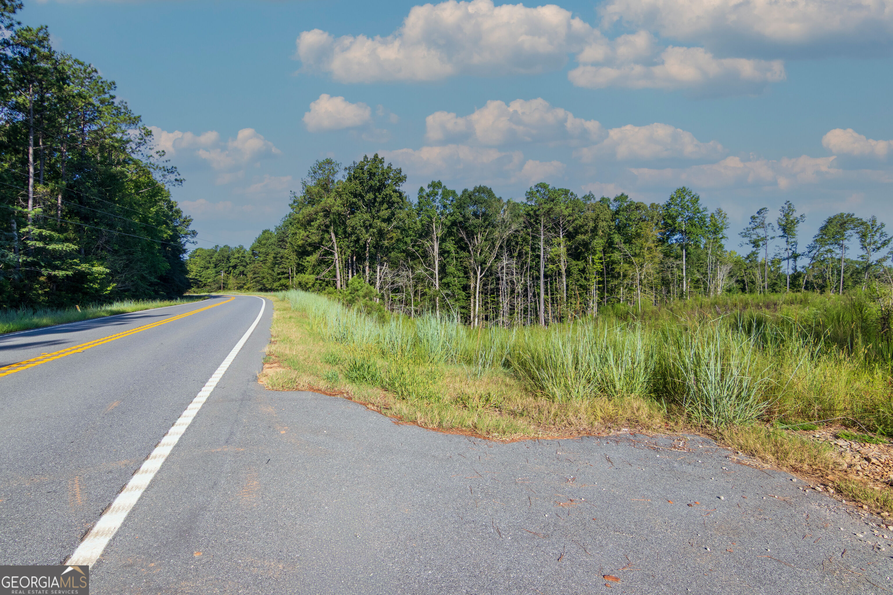 Tract 1 Highway 0036 Woodland GA 31836