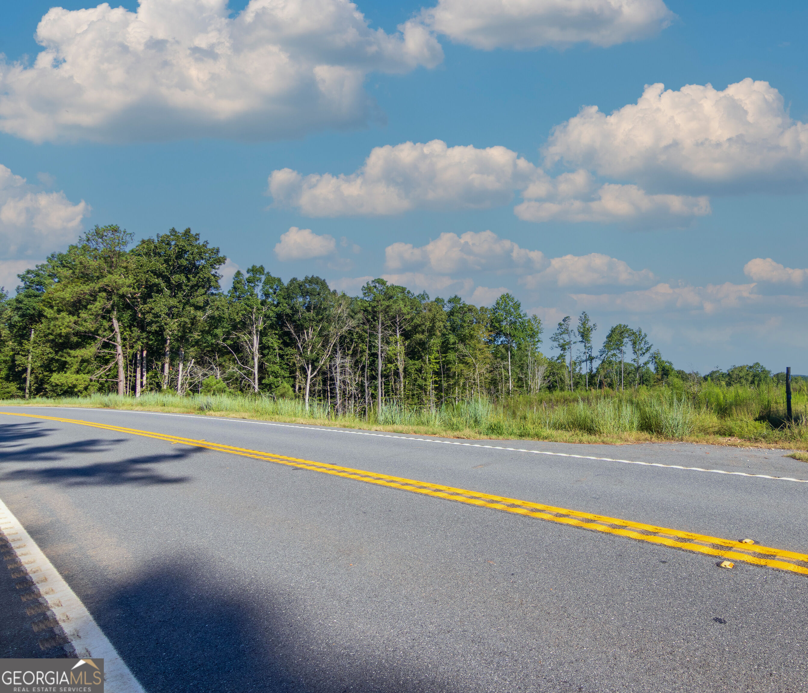 Tract 1 Highway 0036 Woodland GA 31836
