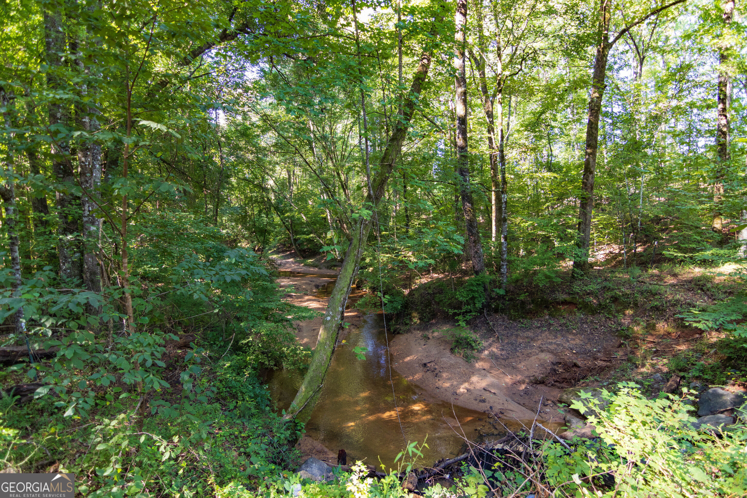 Tract 1 Highway 0036 Woodland GA 31836