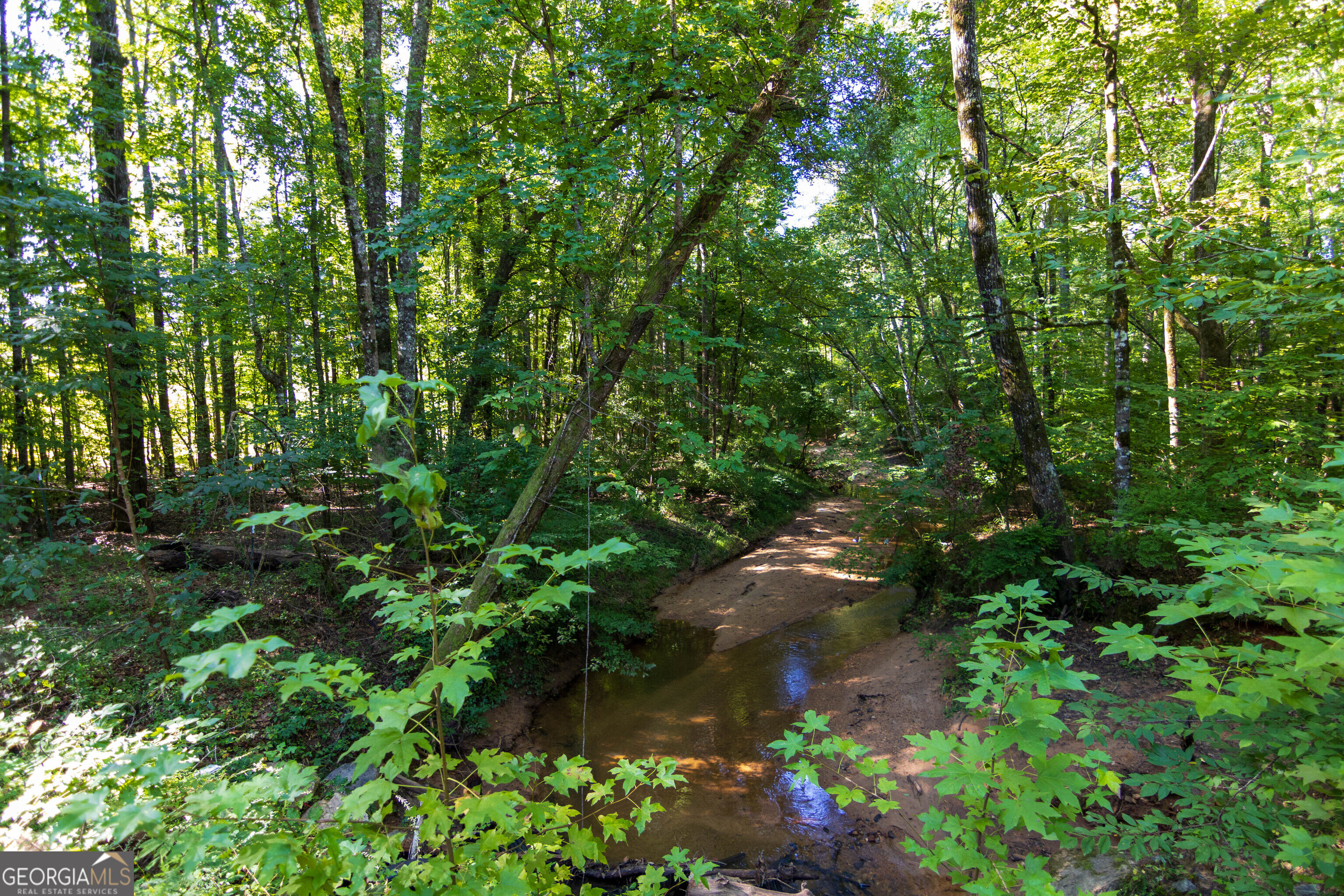 Tract 1 Highway 0036 Woodland GA 31836
