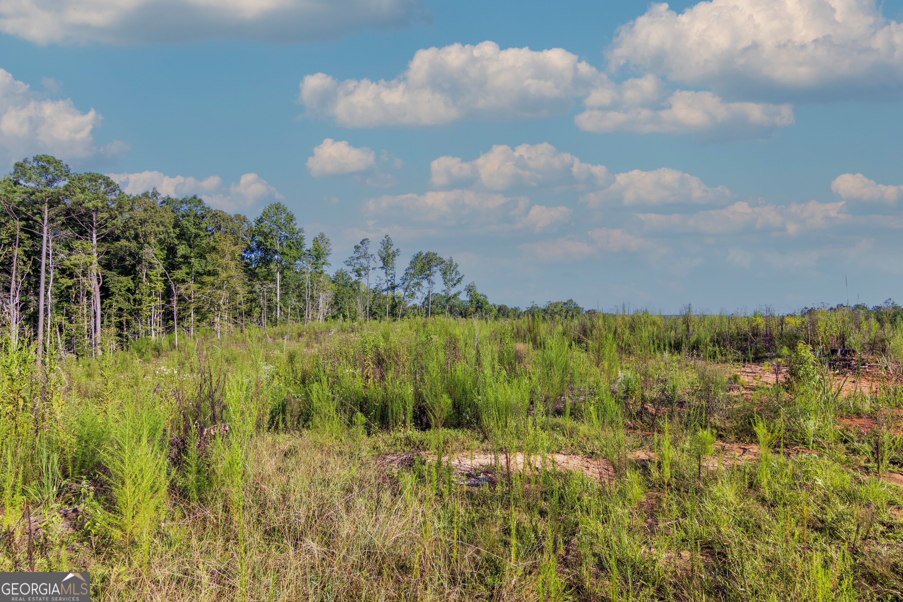 Tract 1 Highway 0036 Woodland GA 31836