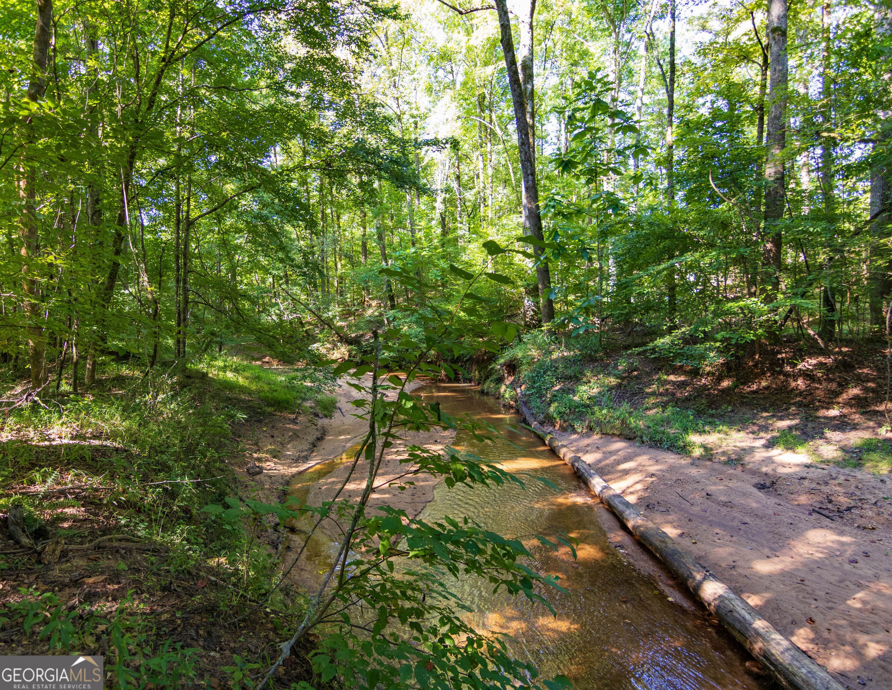 Tract 1 Highway 0036 Woodland GA 31836
