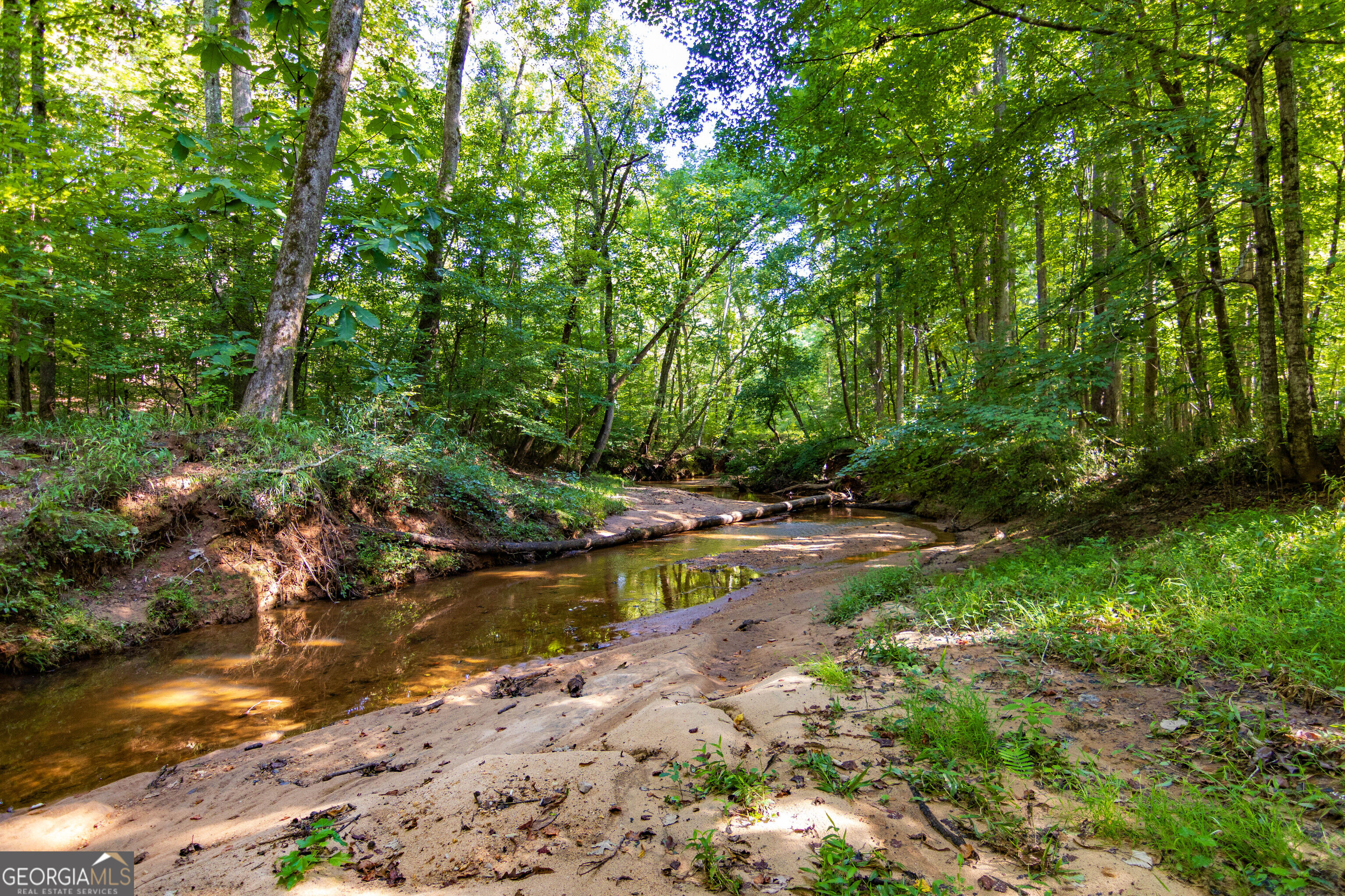 Tract 1 Highway 0036 Woodland GA 31836