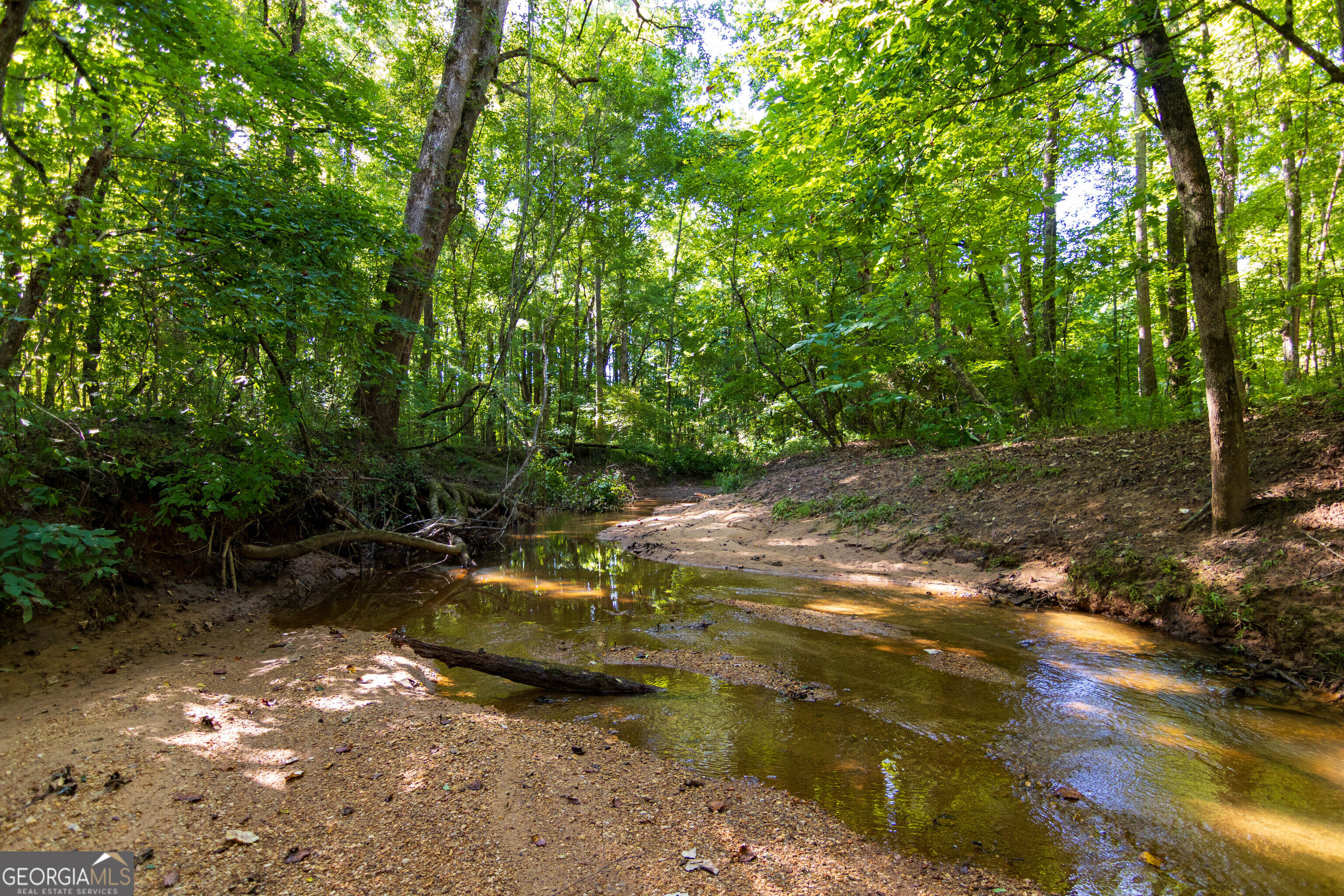 Tract 1 Highway 0036 Woodland GA 31836