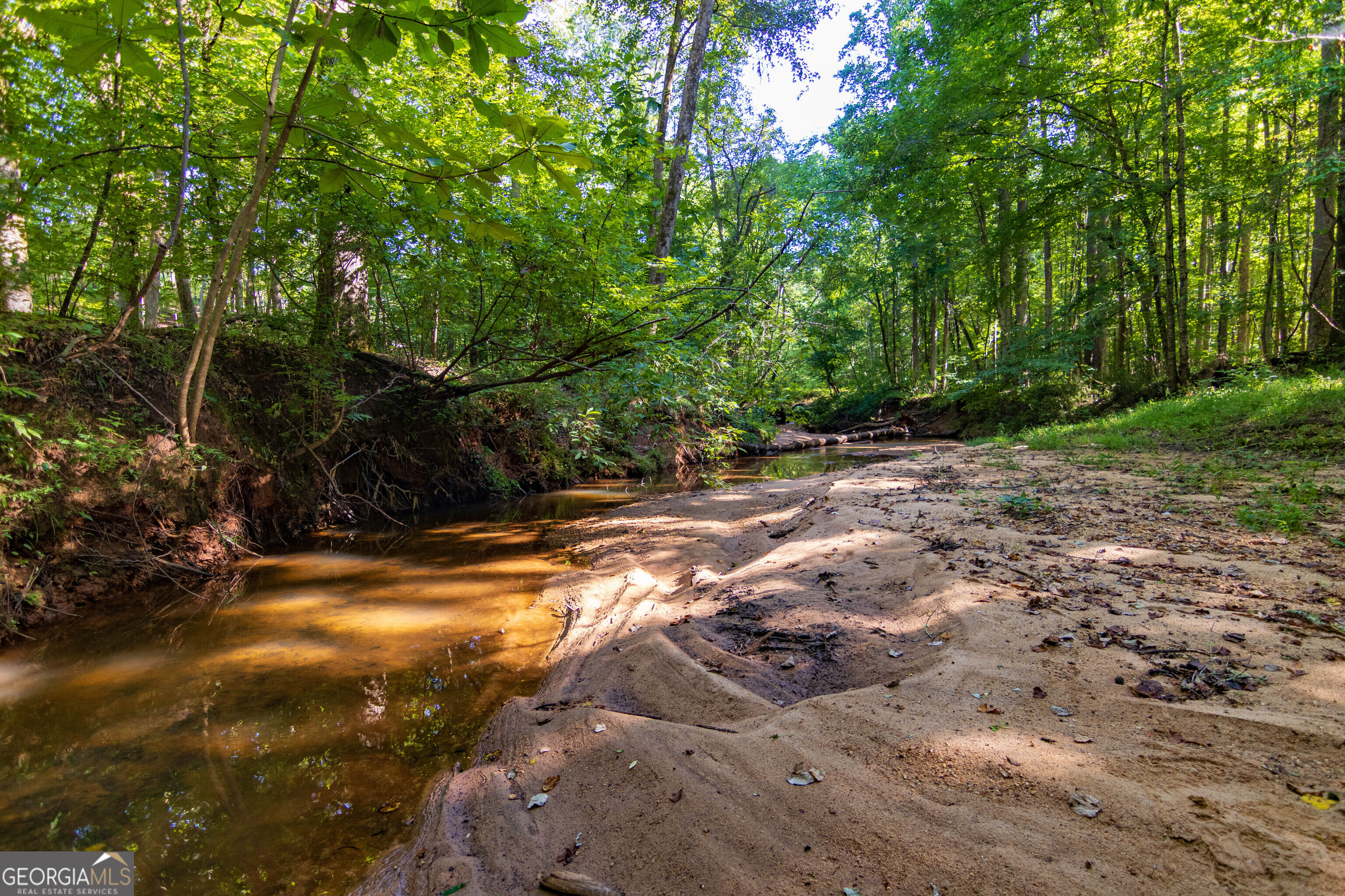 Tract 1 Highway 0036 Woodland GA 31836
