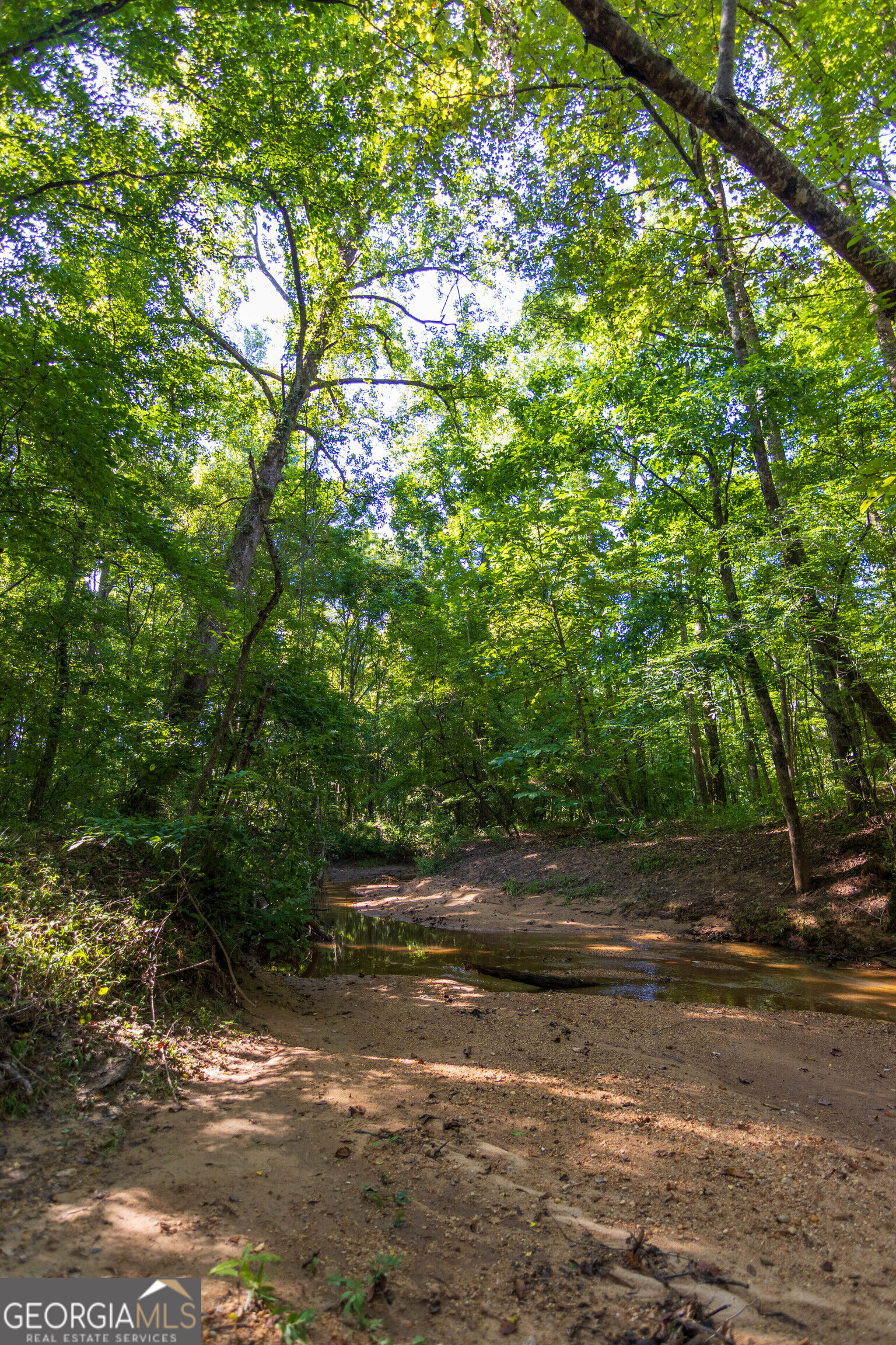 Tract 1 Highway 0036 Woodland GA 31836