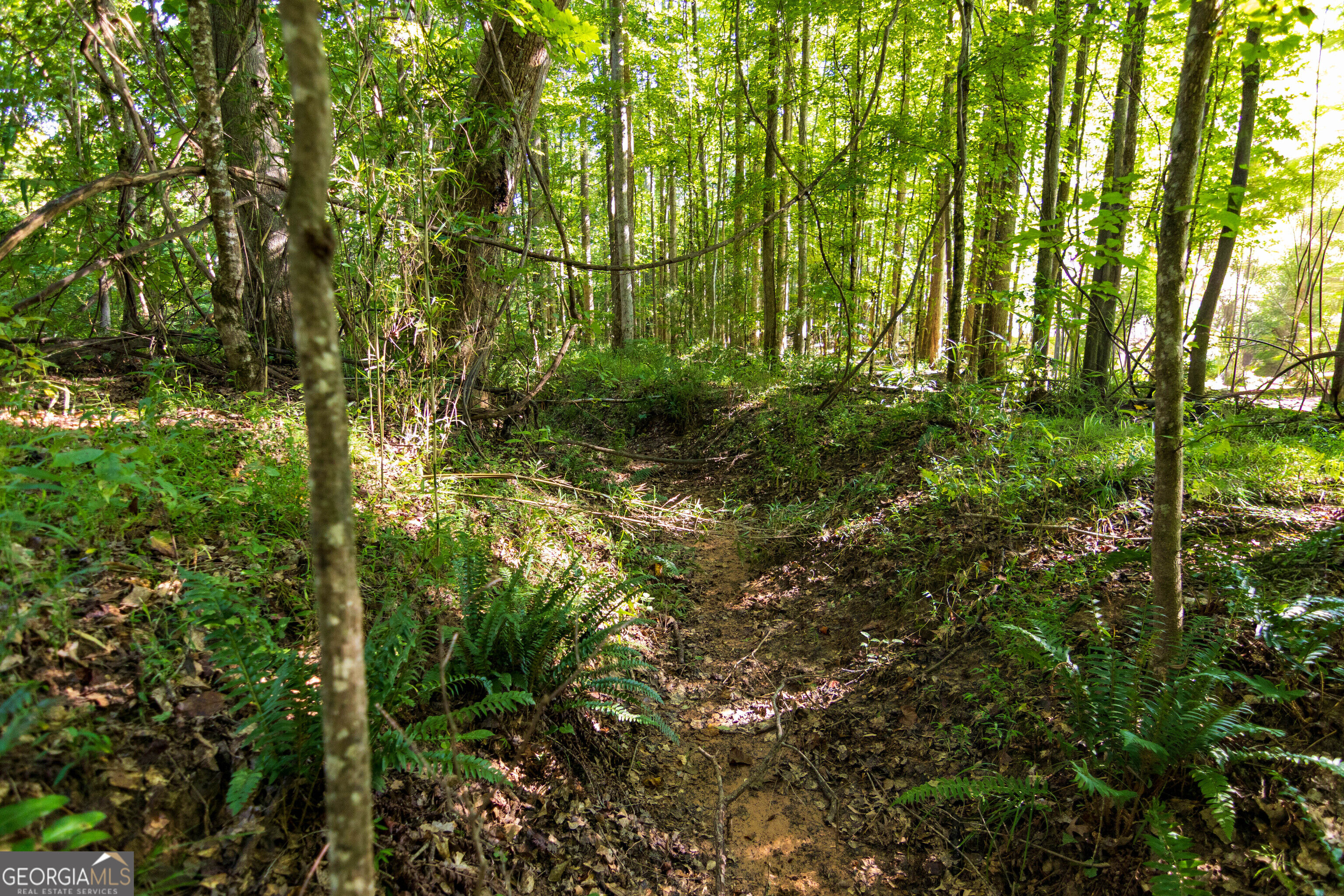 Tract 1 Highway 0036 Woodland GA 31836