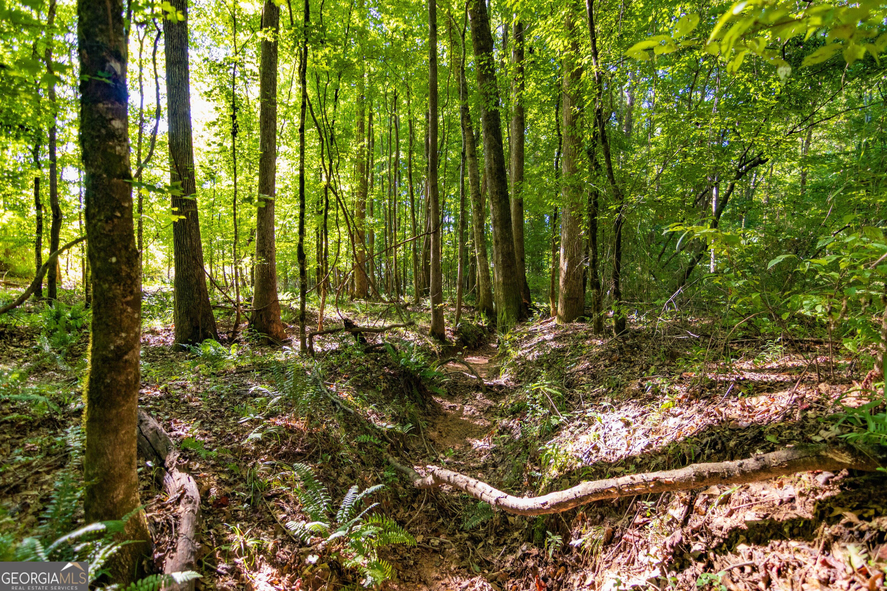 Tract 1 Highway 0036 Woodland GA 31836