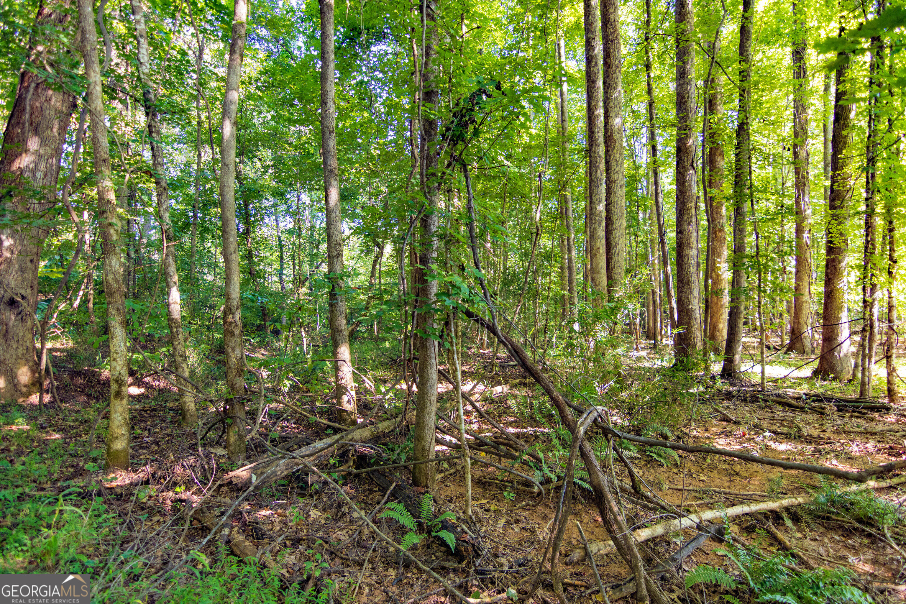 Tract 1 Highway 0036 Woodland GA 31836