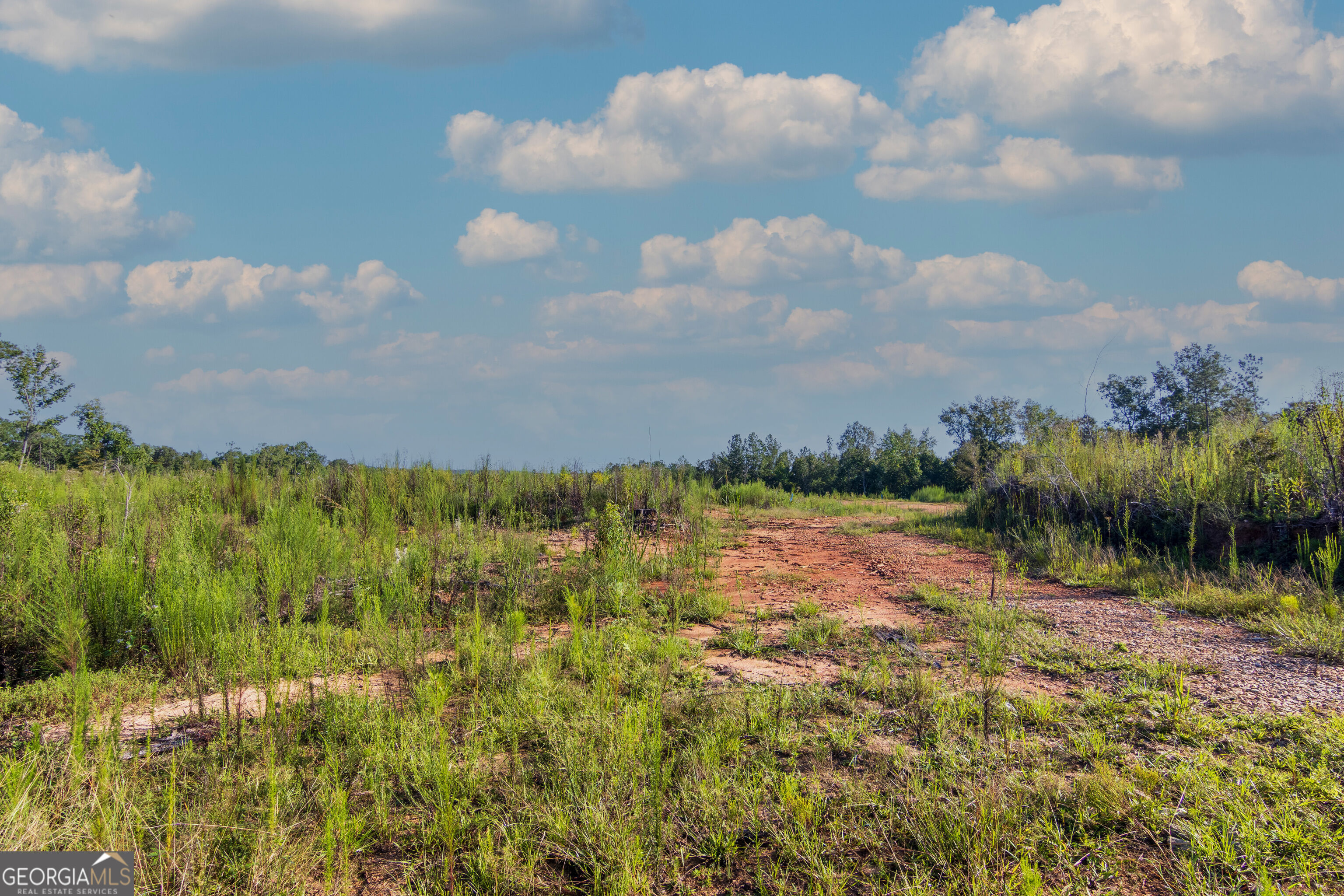 Tract 1 Highway 0036 Woodland GA 31836