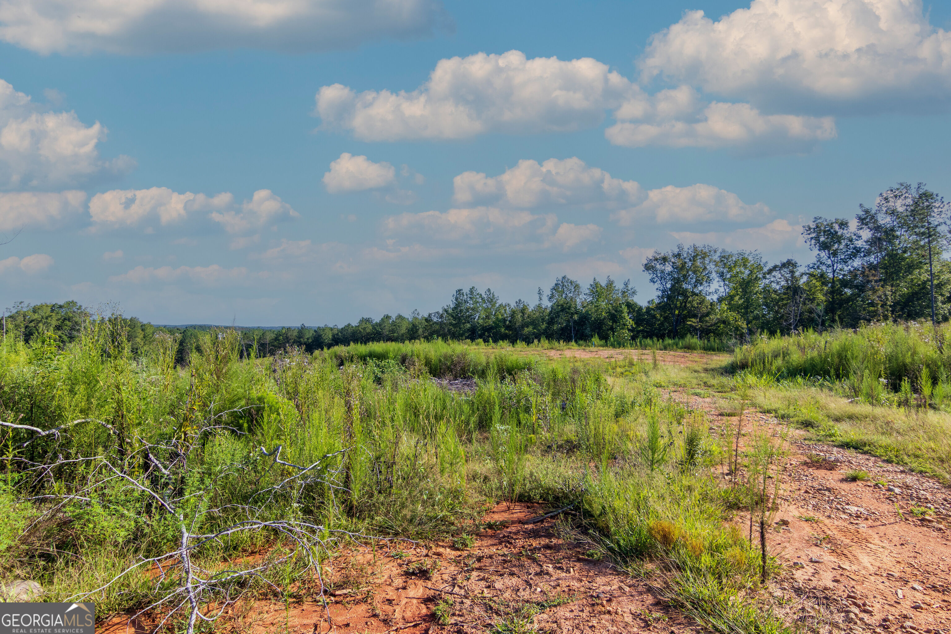Tract 1 Highway 0036 Woodland GA 31836