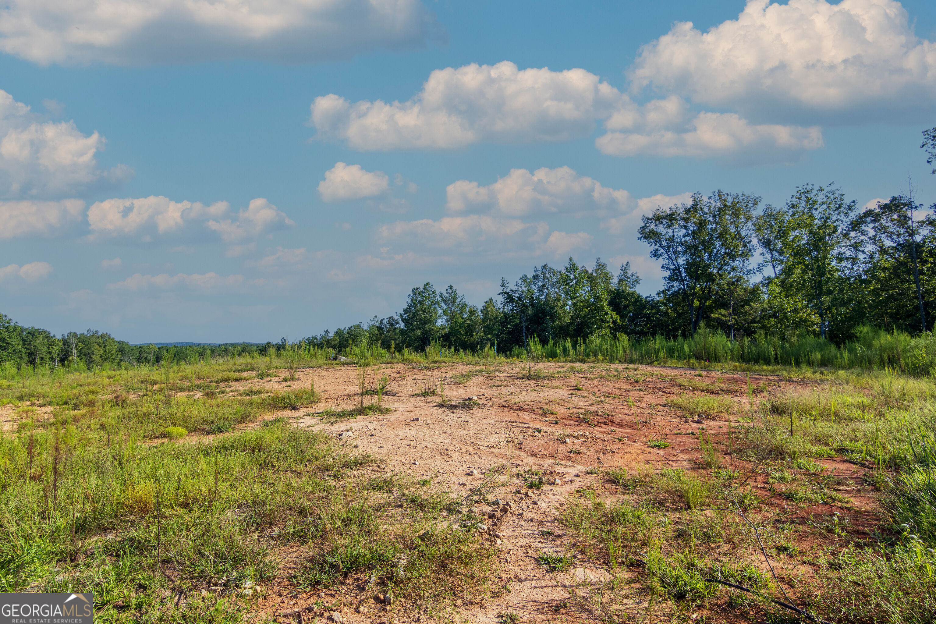 Tract 1 Highway 0036 Woodland GA 31836