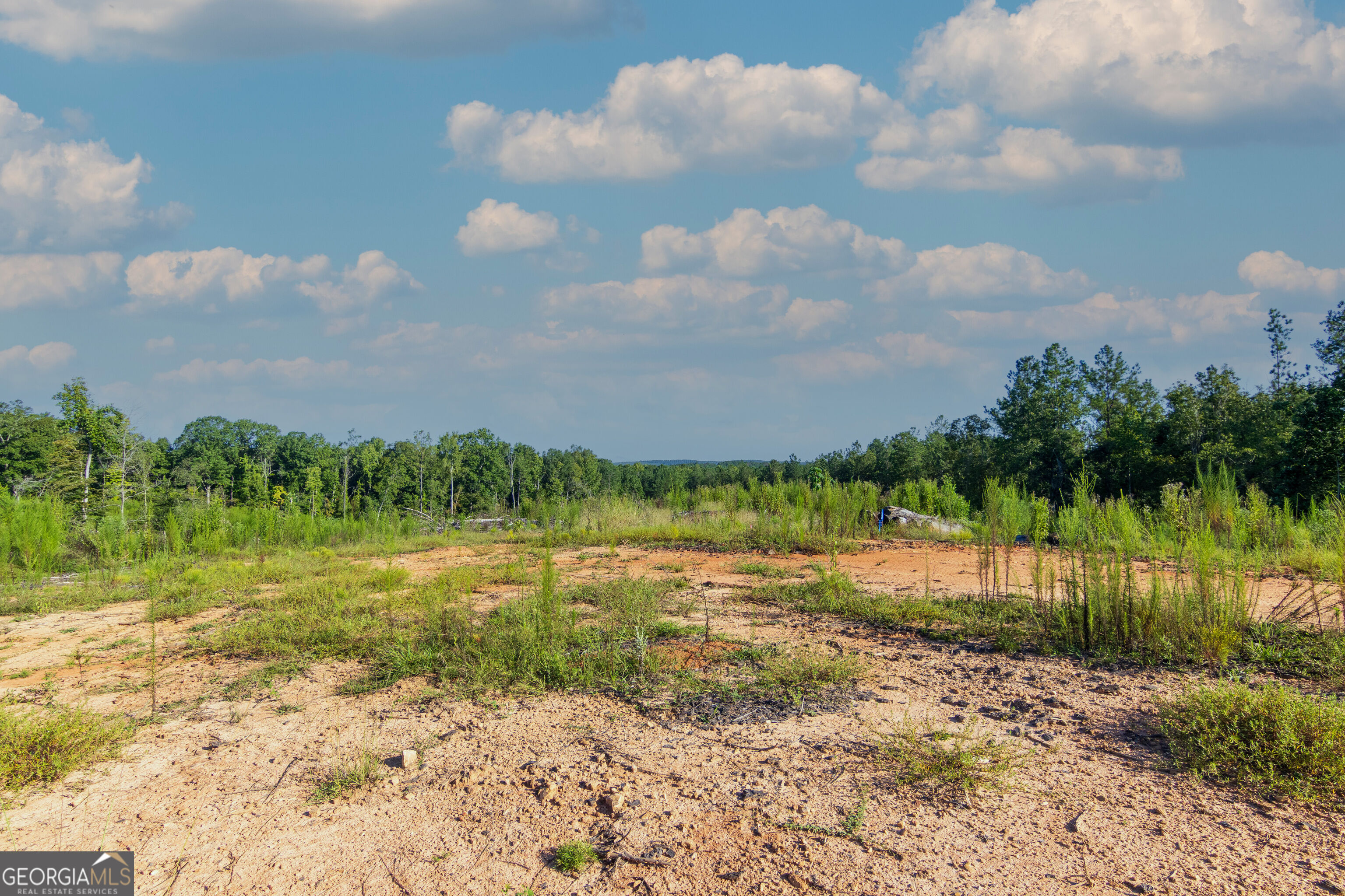 Tract 1 Highway 0036 Woodland GA 31836