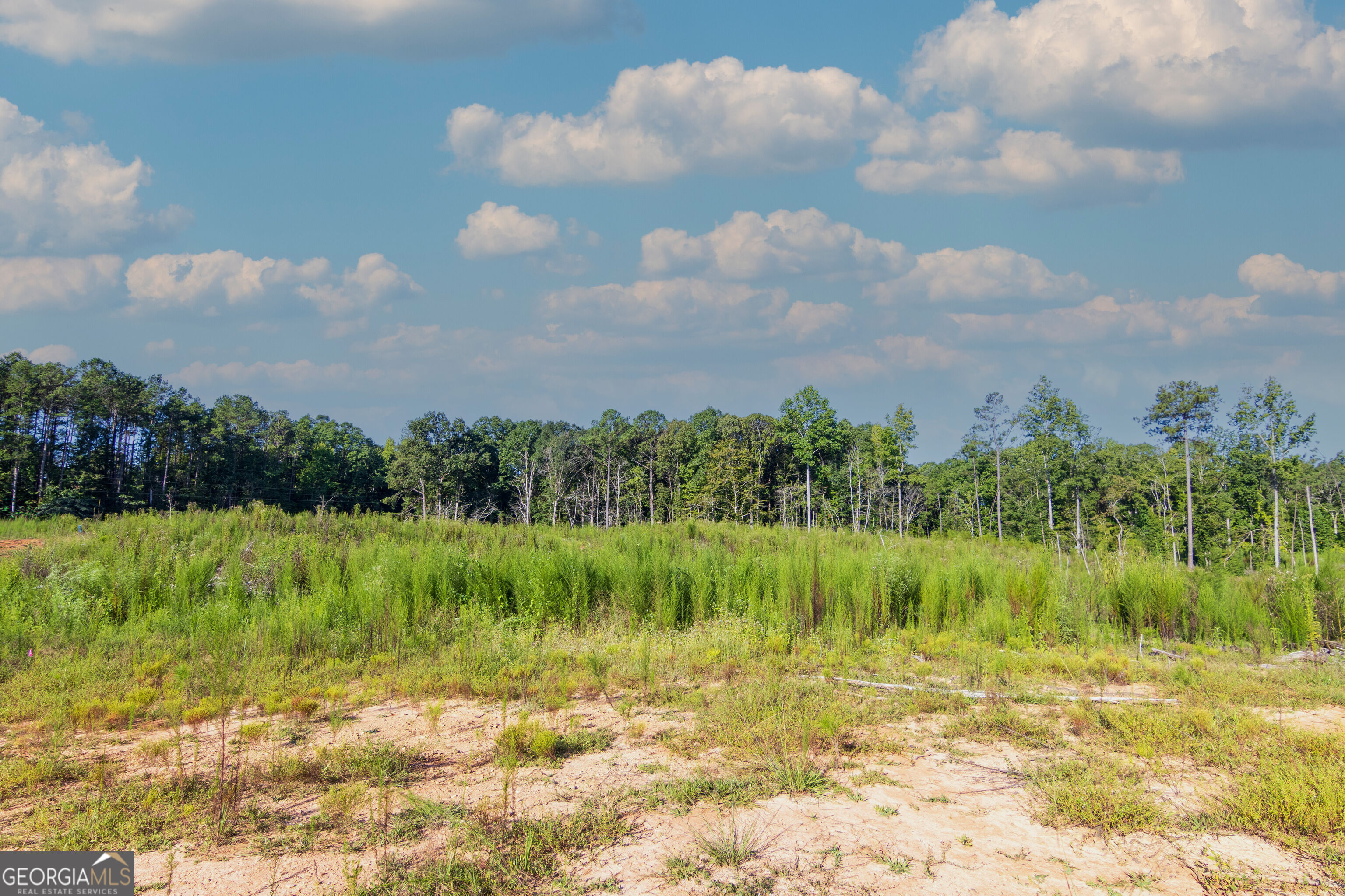 Tract 1 Highway 0036 Woodland GA 31836