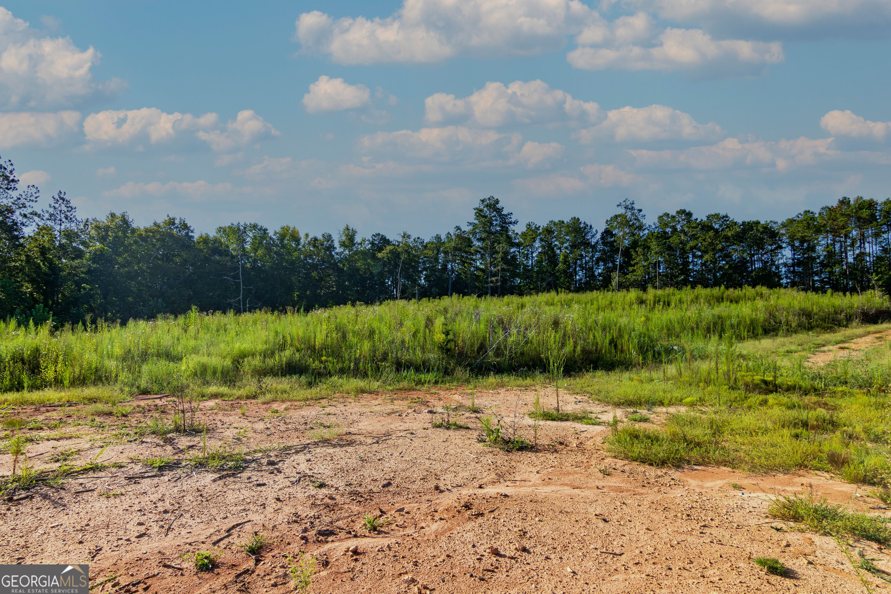 Tract 1 Highway 0036 Woodland GA 31836