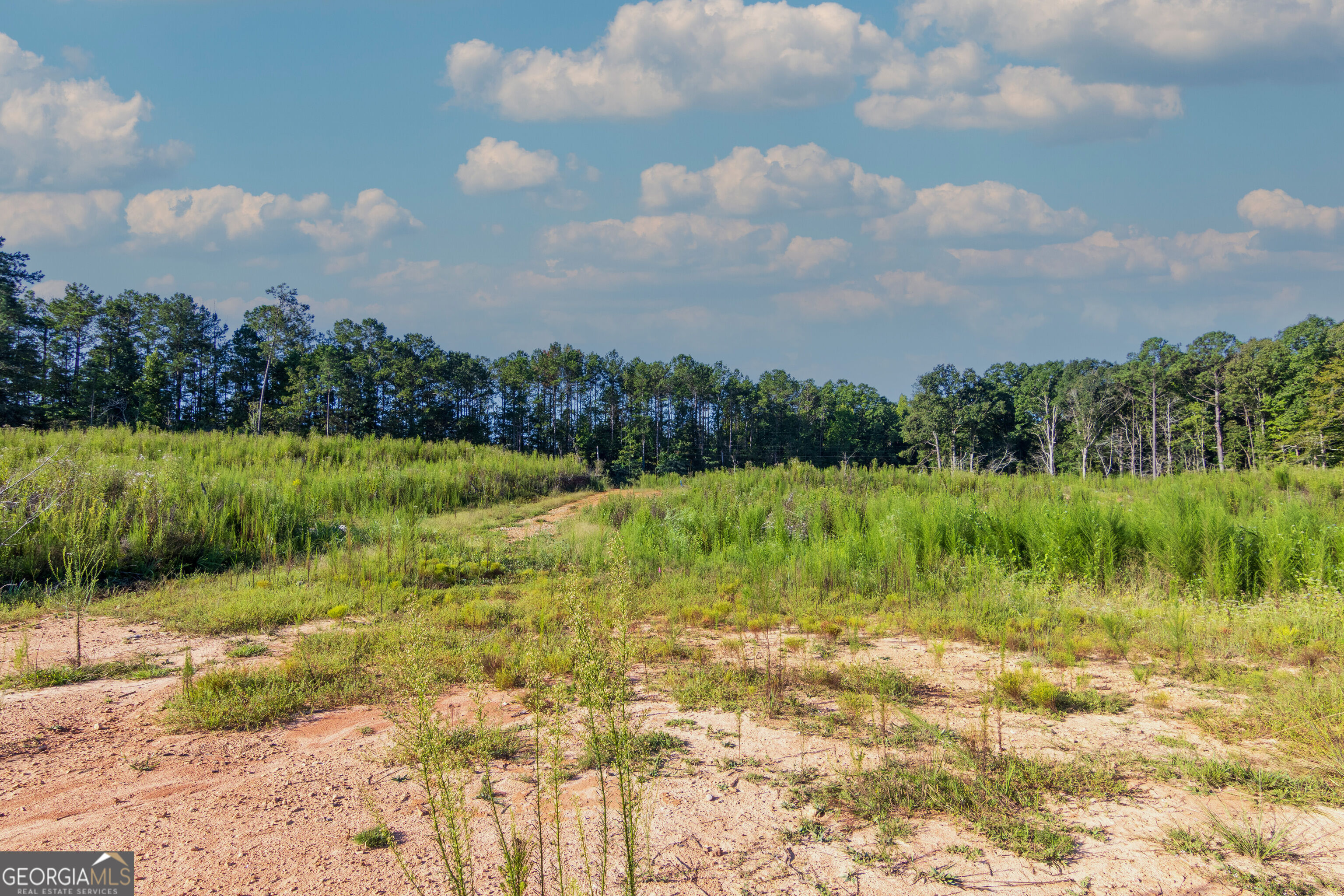 Tract 1 Highway 0036 Woodland GA 31836