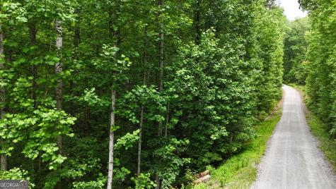 0 Sautee Ridge Road Clarkesville GA 30523