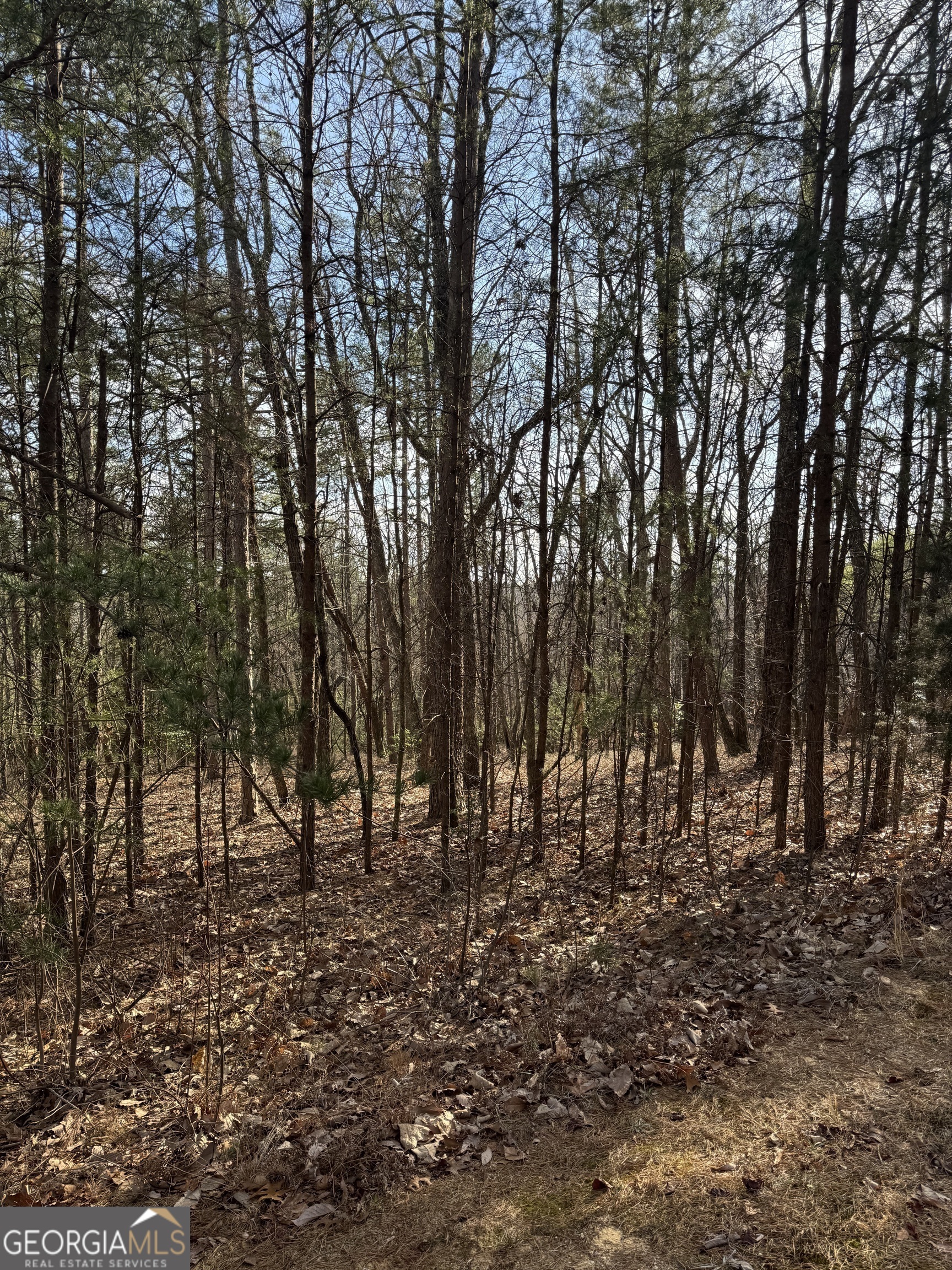0 Scarlett Pippin Lane Clarkesville GA 30523