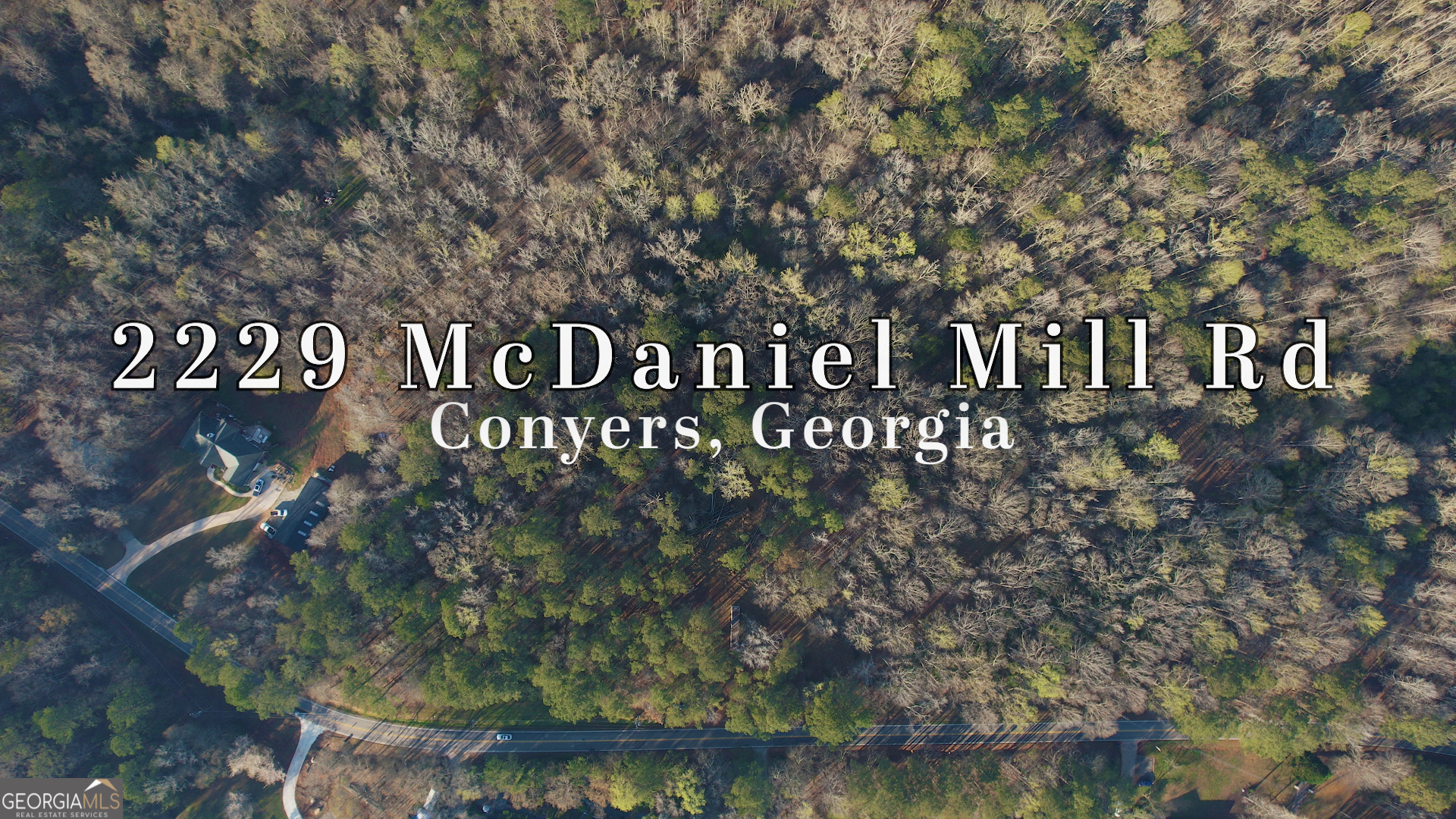 2229 Mcdaniel Mill Road SW Conyers GA 30094