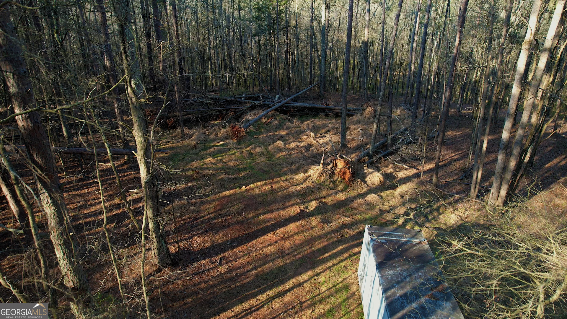 2229 Mcdaniel Mill Road SW Conyers GA 30094