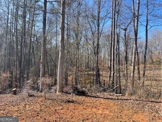 225 Standing Oak Place Fayetteville GA 30214