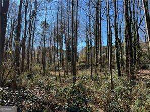 1727 Grandeus Lane SW Stone Mountain GA 30087