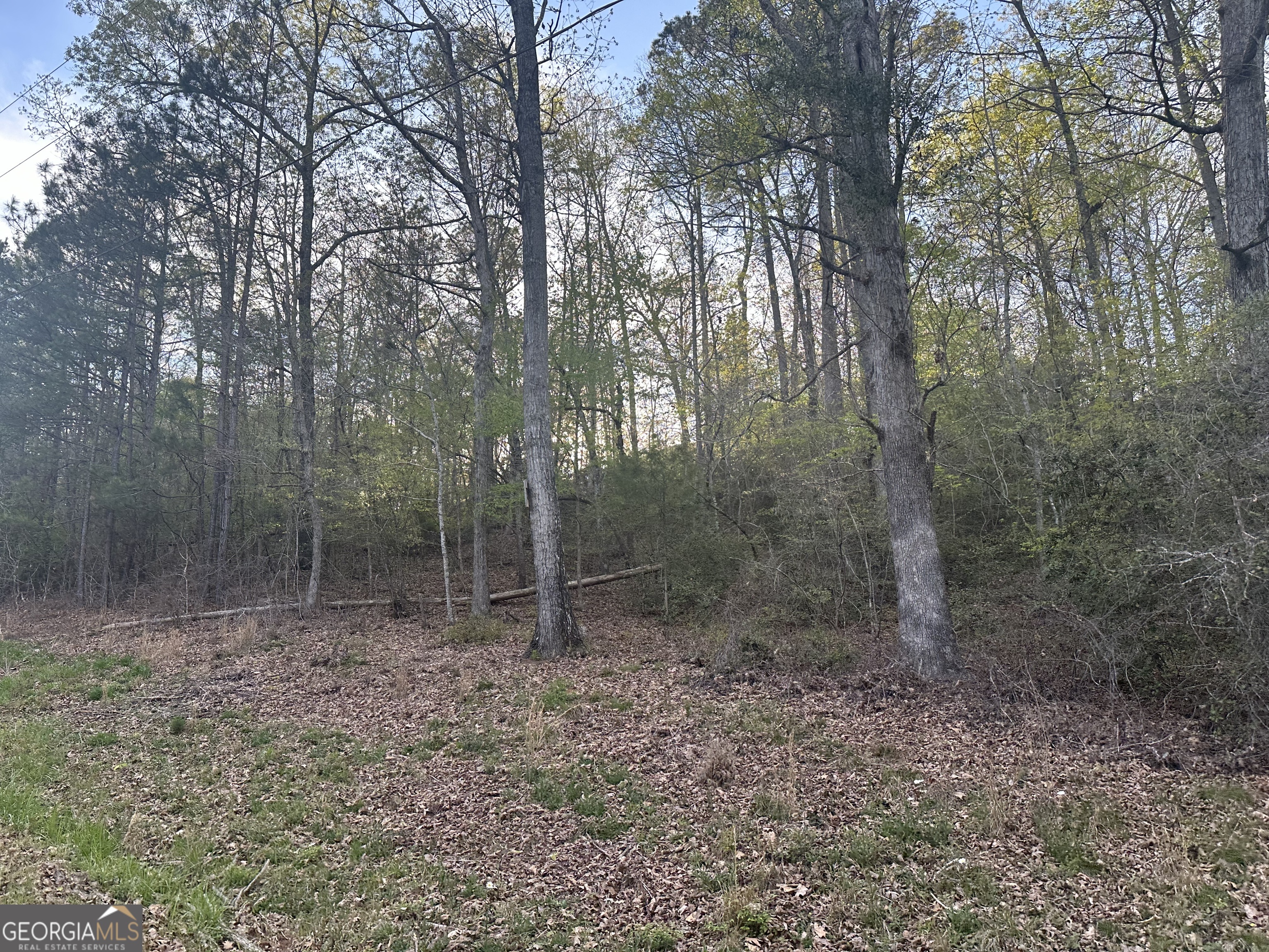 1141 Skipstone Drive Watkinsville GA 30677