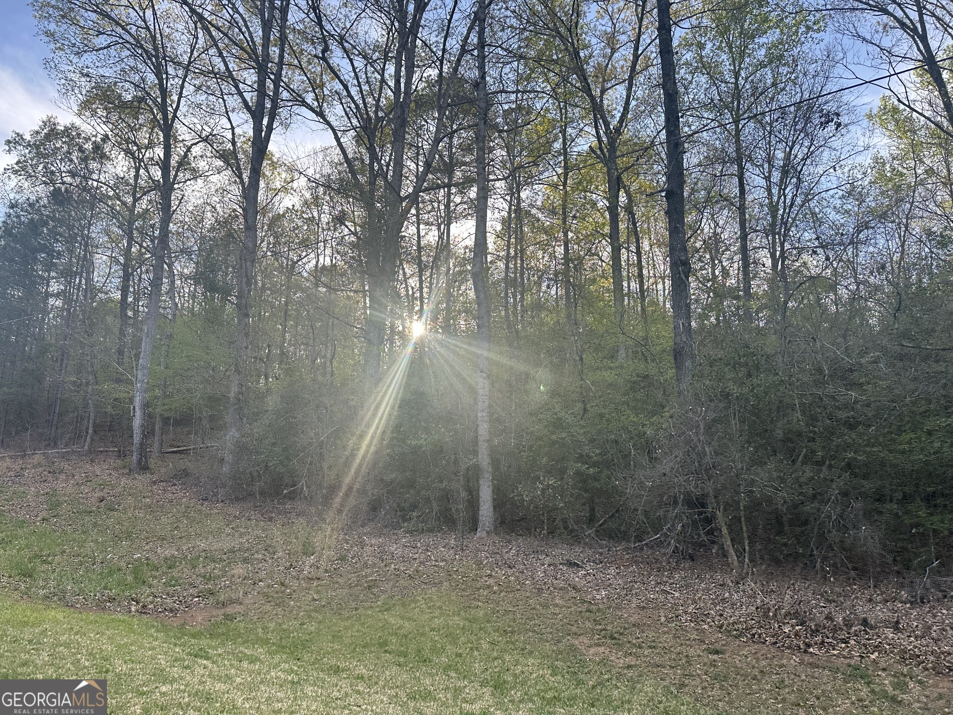 1141 Skipstone Drive Watkinsville GA 30677