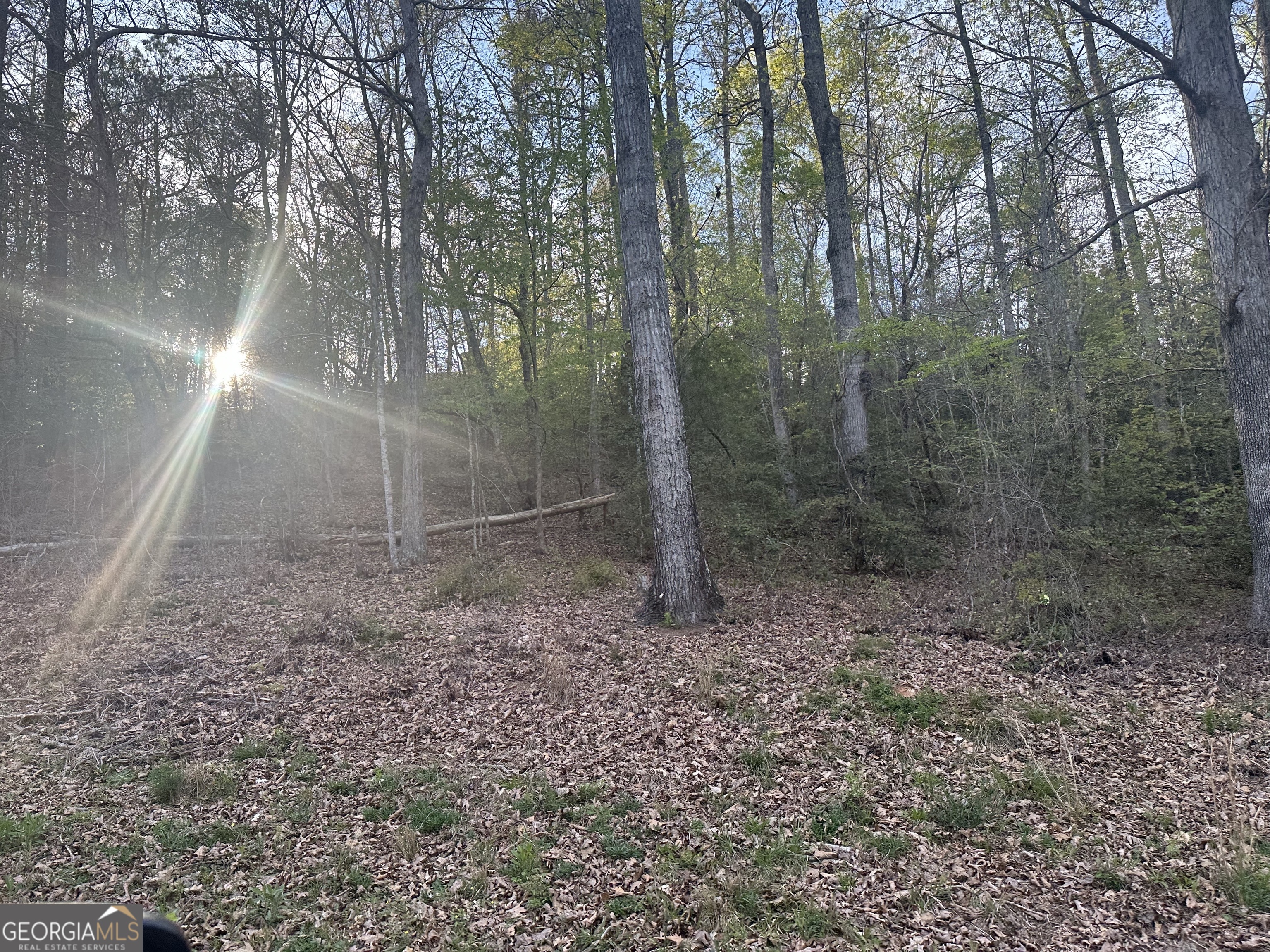 1141 Skipstone Drive Watkinsville GA 30677