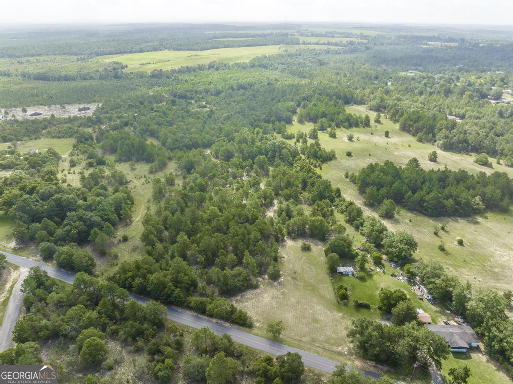 0 Georgia Road Butler GA 31006