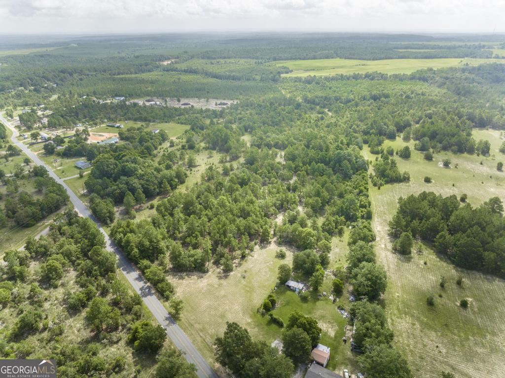 0 Georgia Road Butler GA 31006