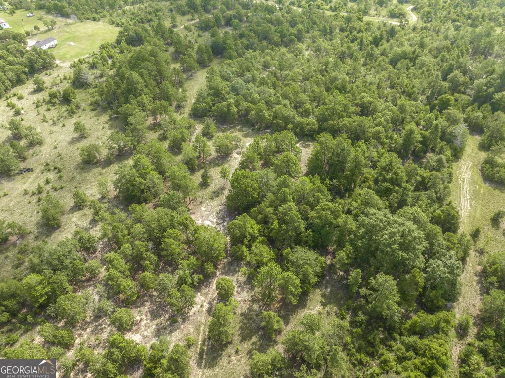 0 Georgia Road Butler GA 31006