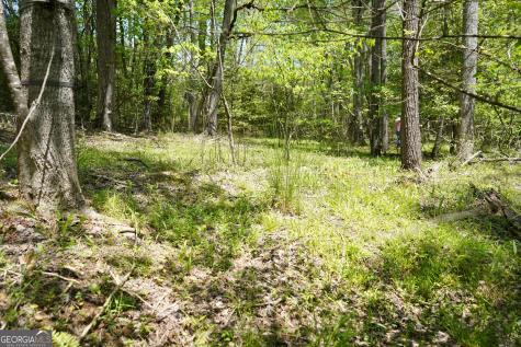 0 Rizzitello Lane Blairsville GA 30512