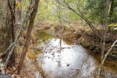 0 Rizzitello Lane Blairsville GA 30512