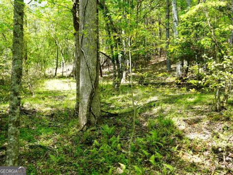 0 Rizzitello Lane Blairsville GA 30512