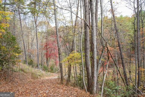 0 Rizzitello Lane Blairsville GA 30512