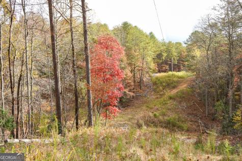 0 Rizzitello Lane Blairsville GA 30512