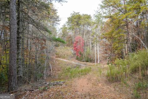 0 Rizzitello Lane Blairsville GA 30512